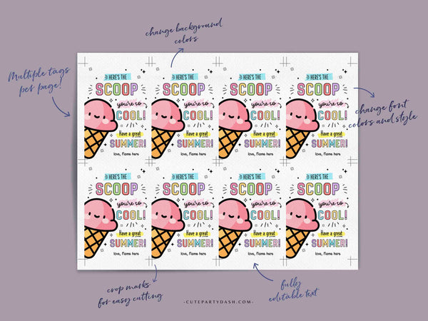 Ice Cream You're so Cool Tag Printable Here's the Scoop Editable Have a Great Summer End of School Year Tag INSTANT DOWNLOAD