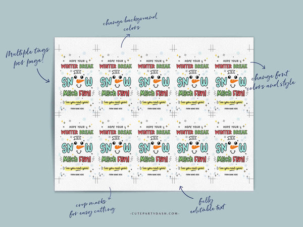 Editable School's Out Winter Break Christmas Gift Tag Printable INSTANT DOWNLOAD snow much fun Teacher Holiday Gift School Merry Christmas