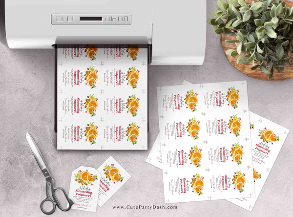 Printable Holiday Simmering Stovetop Potpourri Tag INSTANT DOWNLOAD Teacher Gift Idea Editable Homemade Christmas Potpourri Instructions Tag