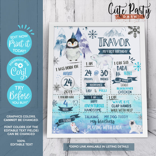 Winter ONEderland Birthday Photo invitation INSTANT DOWNLOAD Printable Wonderland EDITABLE invitation Penguin Little Snowflake 100