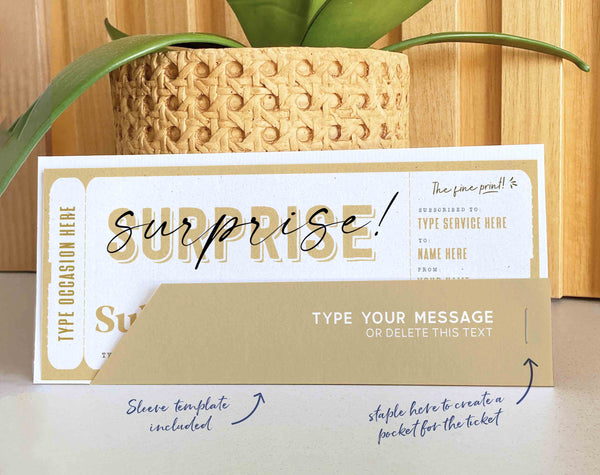 Birthday Gift, Subscription Gift Ticket Voucher, Streaming Service, EDITABLE Subscription Gift Box Coupon Surprise Gift - Digital Download