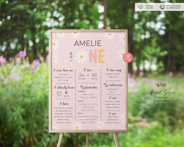 Daisy Birthday Girl Chalkboard Sign Milestone Baby Poster