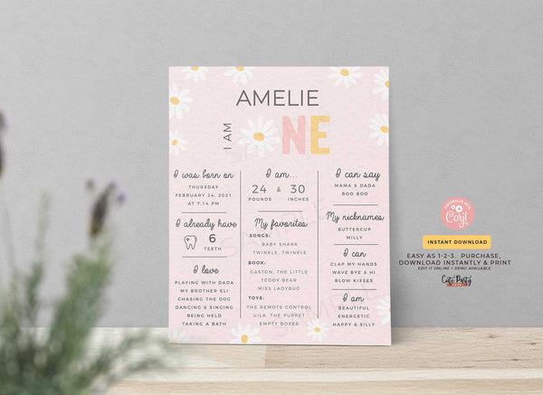 Daisy Birthday Girl Chalkboard Sign Milestone Baby Poster - Digital Download