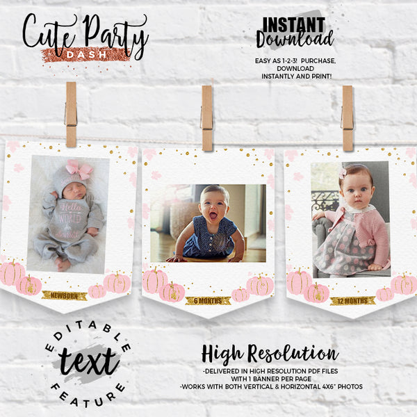 Little Pumpkin Gold Pink Birthday Party Sign - Instant Download