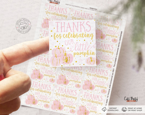 Our Little Pumpkin Birthday girl Favor Tags - Digital Download