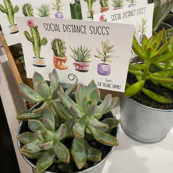 Social distance Succs Card - Digital Download - Cute Party Dash