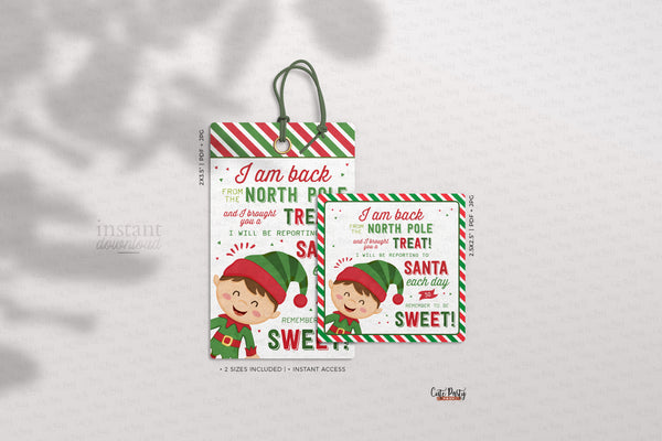 Elf I'm Back Tags INSTANT DOWNLOAD Christmas Elf Special Delivery Tags Kit Printable Elf Return Tag Template, Elf Greetings gift tags 600
