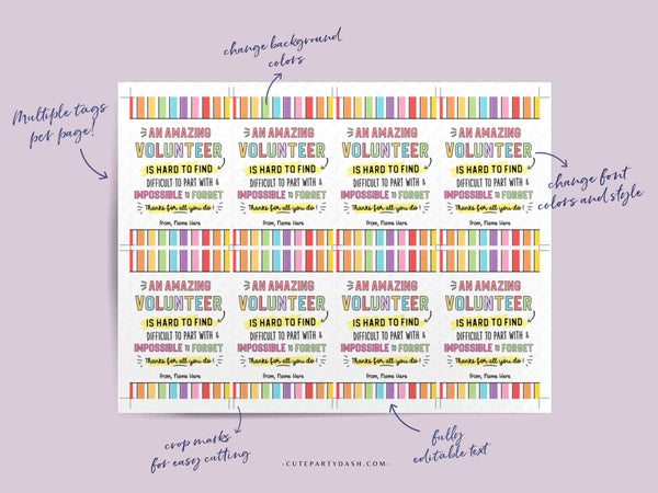 Volunteer Appreciation Gift Tag Editable Employee Appreciation Week Thank You Card Staff Printable Label Team Member INSTANT DOWNLOAD