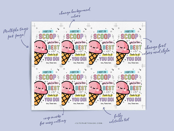 Ice Cream Teacher Appreciation Tag Printable Here's the Scoop Editable Thank You Tag Appreciation Week Employee Nurse Staff INSTANT DOWNLOAD