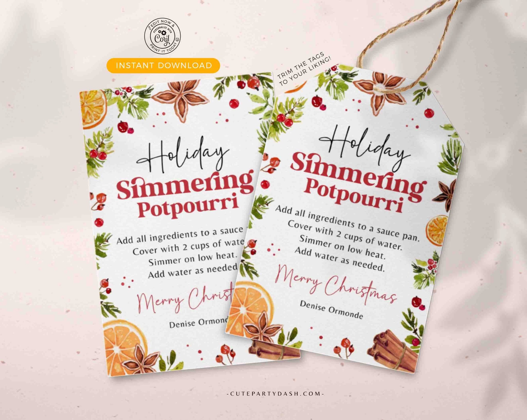 Printable Holiday Simmering Stovetop Potpourri Tag INSTANT DOWNLOAD Teacher Gift Idea Editable Homemade Christmas Potpourri Instructions Tag