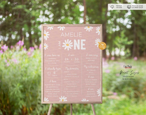 Daisy Birthday Girl Chalkboard Sign Dusty Pink Milestone Baby Poster - Digital Download