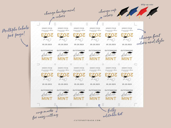 Graduation Favors for guest 2023 Editable Senior Class of 2023 Graduation Party Mint Favors idea Candy High School Grad - Digital Download