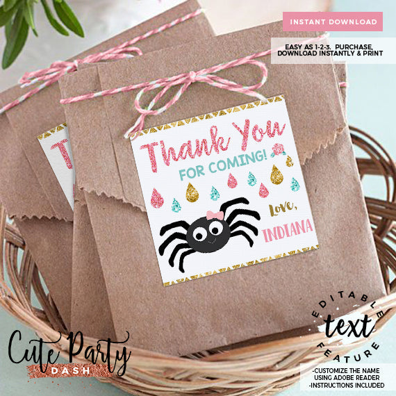 Editable Itsy Bitsy spider First birthday Girl party favor tags
